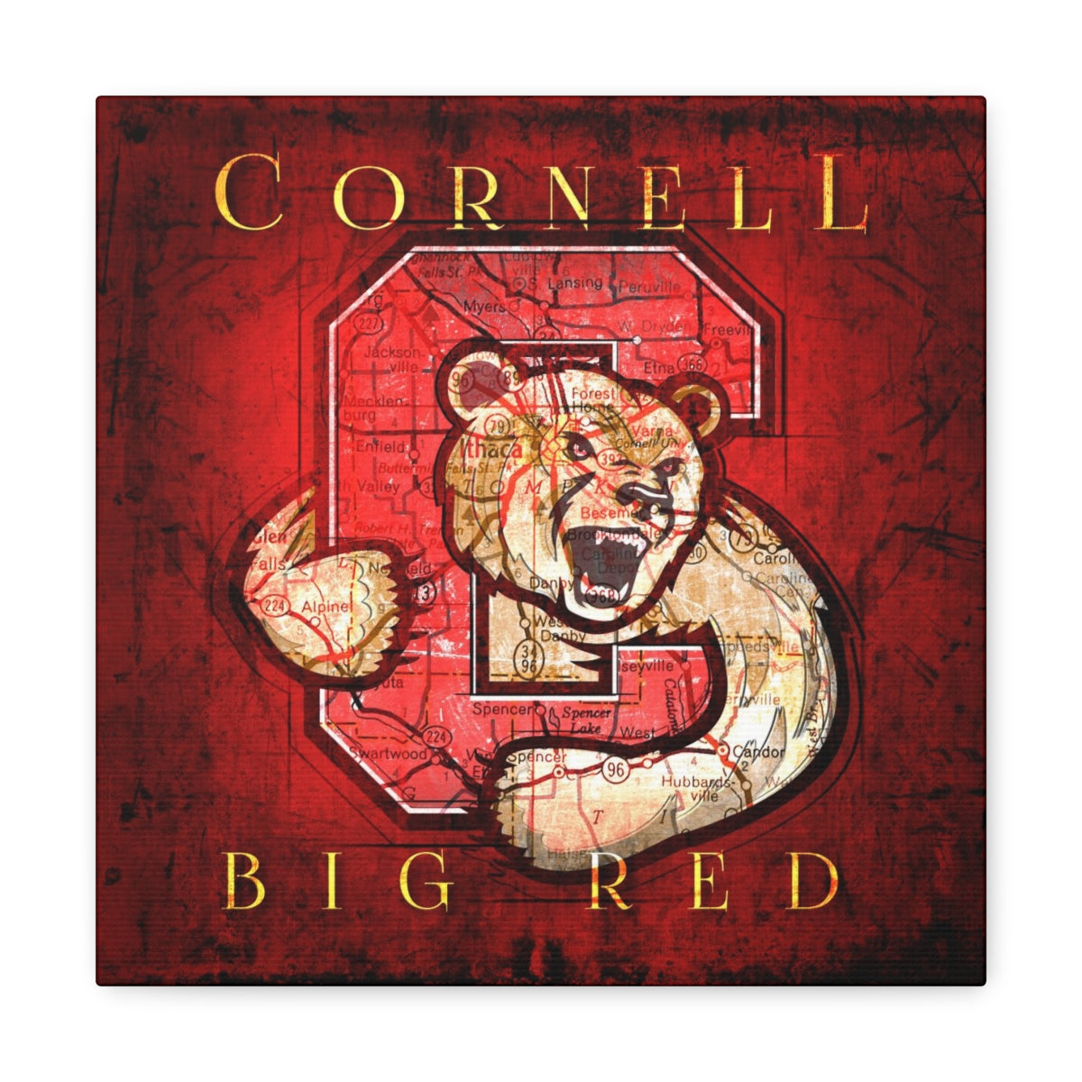 Cornell University Big Red Vintage Canvas Map