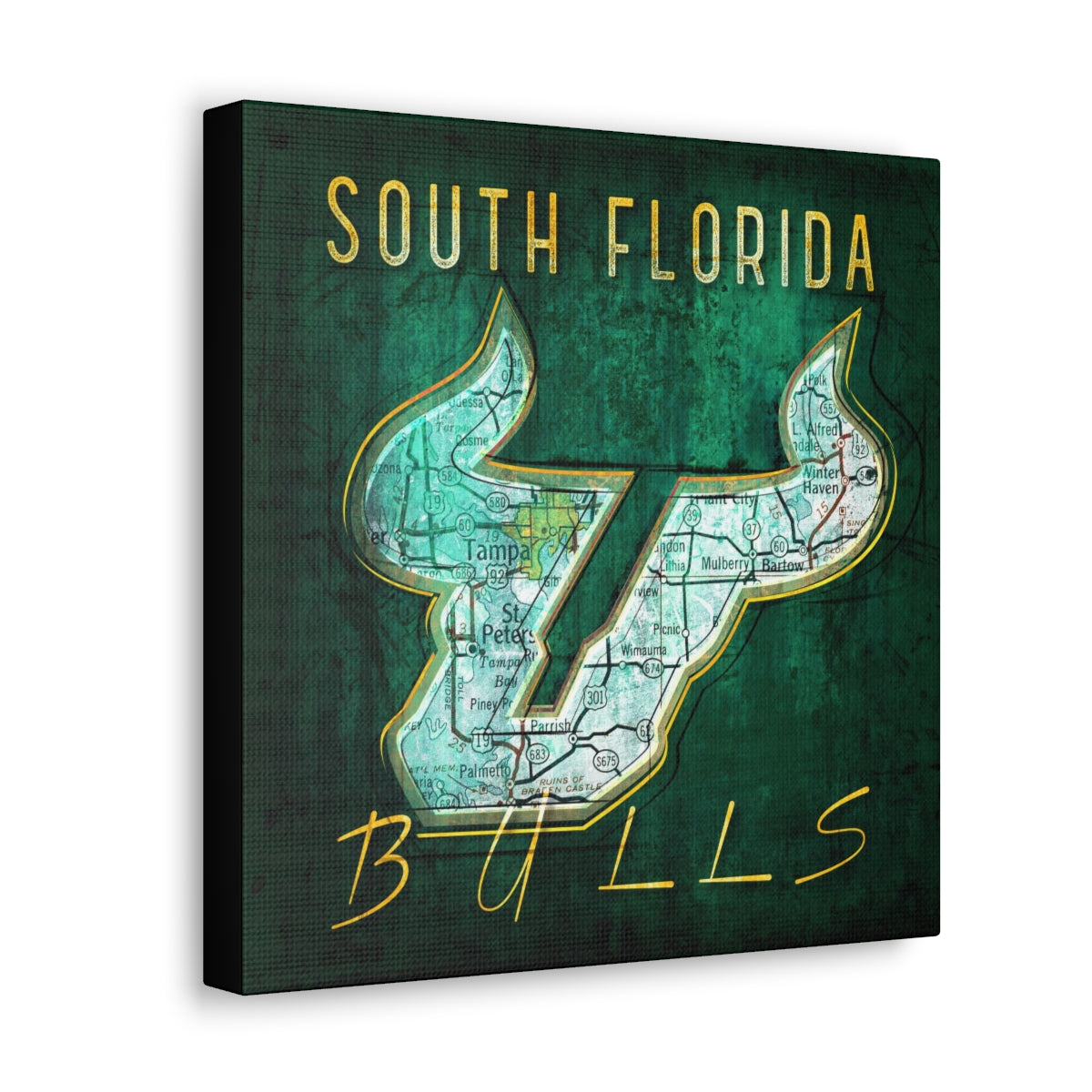 South Florida Bulls Vintage Canvas Map
