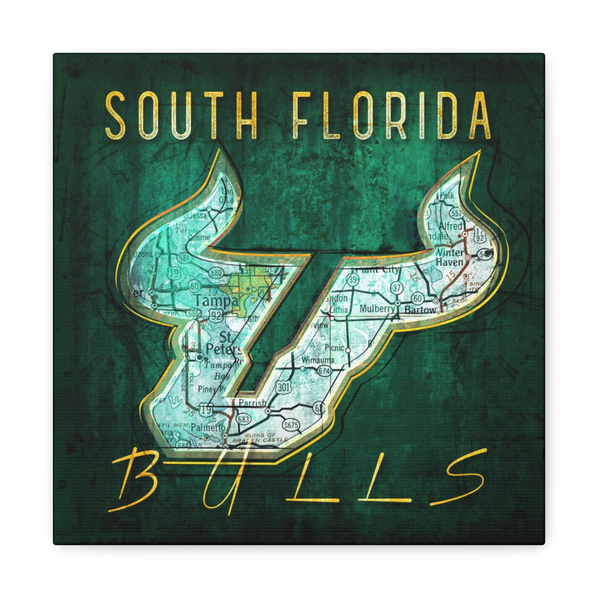 South Florida Bulls Vintage Canvas Map